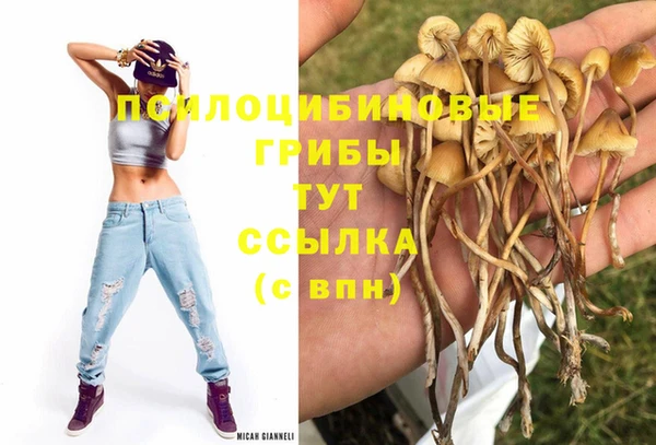 COCAINE Аркадак