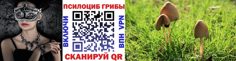 Галлюциногенные грибы прущие грибы  Купить закладки  Сухиничи 